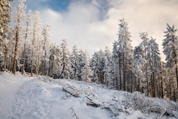 Fototapeta na wymiar Beautiful winter in the Gorce Mountains - fresh snow created an amazing landscape. Beskidy, Poland.