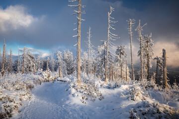 Beautiful winter in the Gorce Mountains - fresh snow created an amazing landscape. Beskidy, Poland.