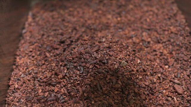 Crushed dry cocoa or cacao bean falling into pile after the skin is removed by a skin filter machine. Process of making chocolate.