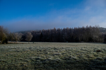Frosty meadow on a winters morning
