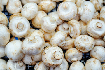 Lots of champignon mushrooms on the counter in the store. Close-up. Flat lay frame