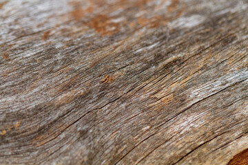 old wood texture