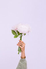 Hand in costume jewelry holding flowers on white wall background. Spring summer fashion concept. Still life minimal