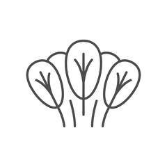 Spinach line icon or vegetable concept