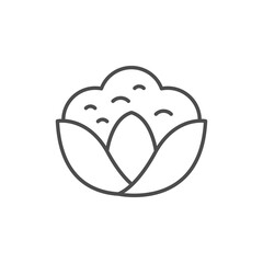 Cauliflower line icon or vegetable concept