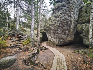 Walking in the forest among rocks 