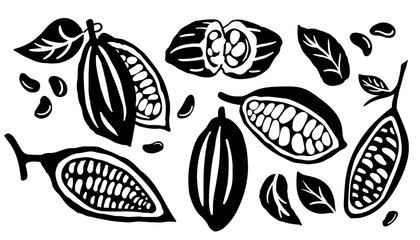 Cocoa pod and many raw beans set isolated on white background. Vector illustration.
