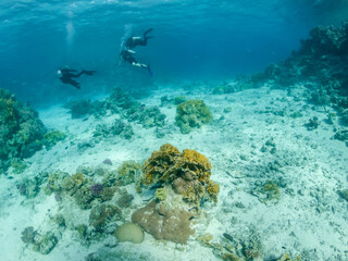 Fototapeta na wymiar Freedivers swimming near coral reef in Red Sea