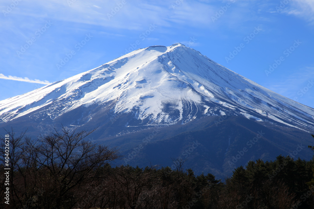 Wall mural The peak of Mount Fuji as viewed from the pine forests of Gotemba in Shizuoka Prefecture, Japan.