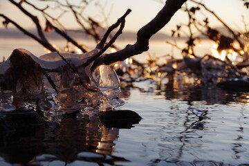 Obraz na płótnie Canvas 冬の早朝の湖畔の木の枝に付いた氷柱。