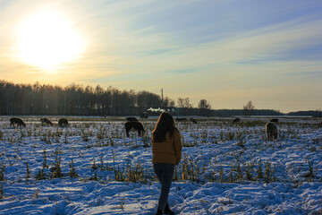 Fototapete bei efototapeten.de bestellen   