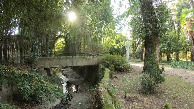 Botanical garden of the city of Sukhum Abkhazia. Sunny winter day.