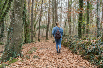 Fototapeta premium Stylish woman with backpack walking in forest, back view in autumnal scenery.Wanderlust and travel lifestyle concept.