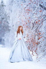 Fototapeta na wymiar Young redhead woman, a princess, walks in a winter forest in a blue dress.