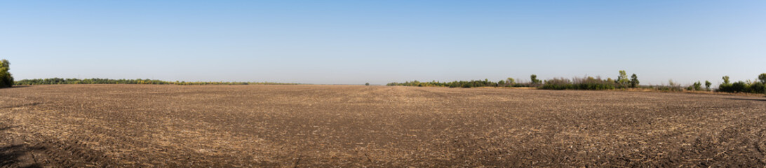 Fototapeta na wymiar Panorama. Brown empty field after harvest on blue sky background
