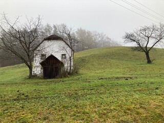 Fototapeta na wymiar Hütte im Wald