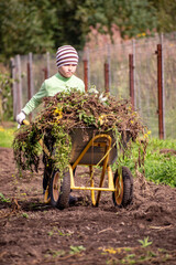 Children harvest potatoes in autumn at the farm.