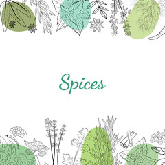 Herbs and spices collection. Vector Collection of hand drawn Spices and Herbs. Botanical plant illustration. Vintage Medicinal Herbs and plants. 