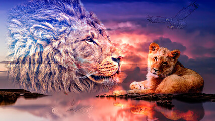 Lion cub and lion evening sunset © Оксана Комарова-Линк