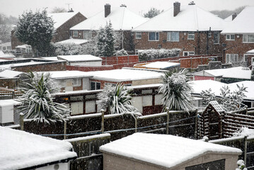 Snow across roofs
