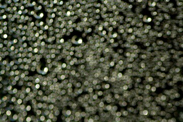 water droplets on a glass