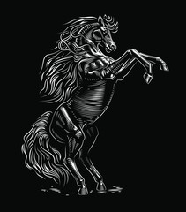 Rearing up horse black and white. Vector illustration.