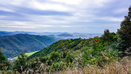 Naklejka premium 書寫山圓教寺の山道から見える景色