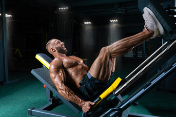 Professional athlete performs a leg exercise. Bodybuilding, fitness, sports concept.