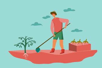 Men digging up soil to plant tomato plants, healthy vegetables.