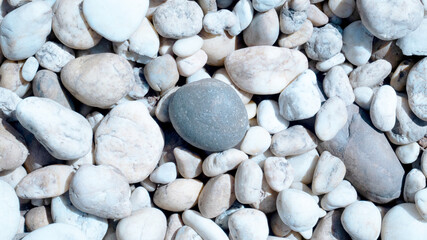 Fototapeta na wymiar white pebbles on the beach, white stone for background