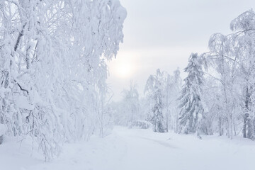 Fototapeta na wymiar winter snowy road among frozen trees in a frosty landscape after snowfall