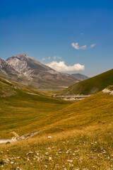 Fototapeta premium House in a field with mountains in Gran Sasso, Italy