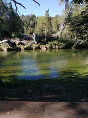 Obraz premium river in the forest