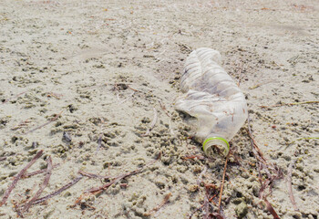 Garbage clear plastic bottle used disposable on the beach, Conservation for environmental protection after drinking concept.