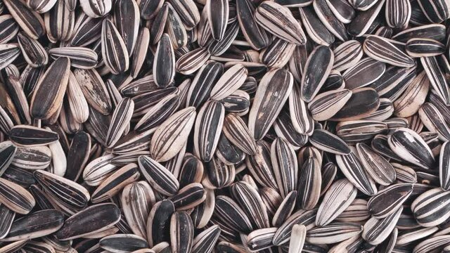 Rotation of striped sunflower seeds. View from above.