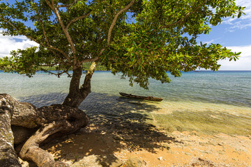 Beautiful beach with tree and canoe on Malekula island, Vanuatu