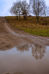 A muddy puddle and a dirt road at a moor. Picture from Revingehed, Scania county, Sweden