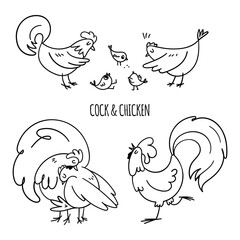 Set of hand-drawn domestic rooster and hen. Cute drawn chicken family with little chickens isolated on white background. Vector stock illustration of village birds.
