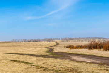 A winding road through spring fields