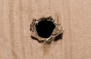 Closeup of paper hole with torn edges.