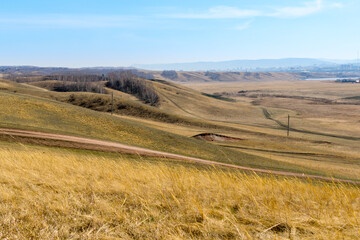 Early spring on the golden hills