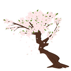 Cherry sakura blossom branch with falling petals, tree. Flowers and petals. Pink asian vector art.