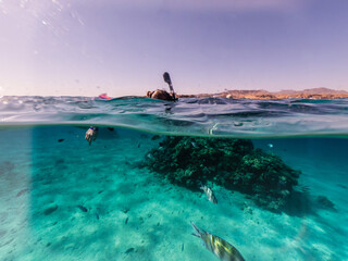 Woman snorkeling underwater and surface split view
