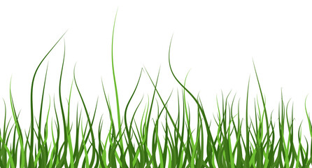 Multicolor green grass. Seamless pattern from left to right. Horizontal on white background. Vector Illustration. EPS10