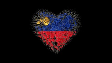 Liechtenstein National Day. August 15. Heart shape made out of flowers on black background. 3D rendering.