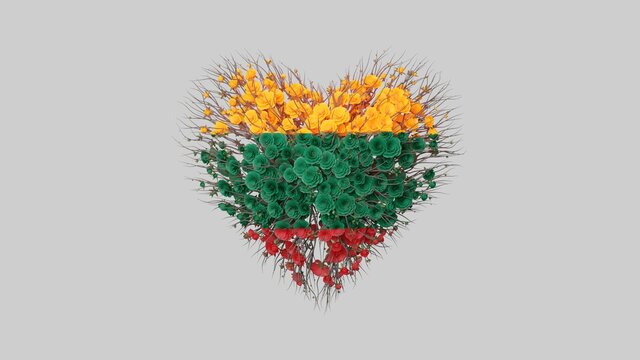 Lithuania National Day. Independence day. February 16. Heart shape made out of flowers on white background. 3D rendering.