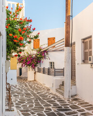 Traditional Cycladitic alley with narrow street, whitewashed houses and a blooming bougainvillea flowers in Naousa Paros island, Greece	