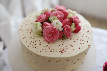 Tasty cake isolate on white background