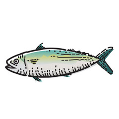 Mackerel fish isolated on white background. Vector illustration of seafood.