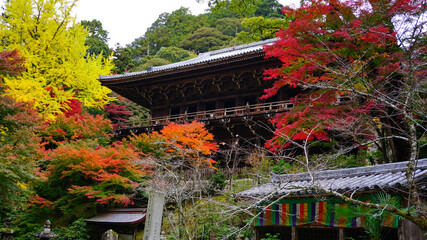 秋の紅葉と書寫山圓教寺